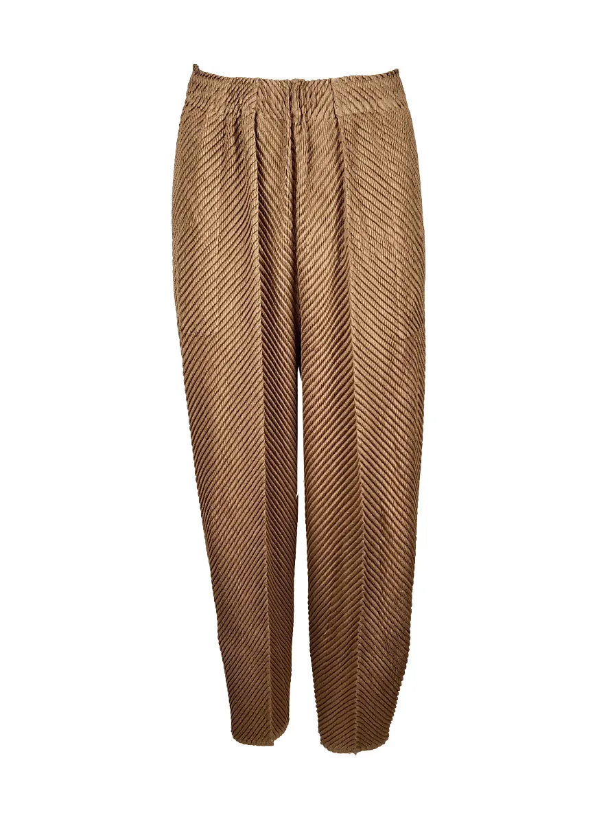 D230033 Pleated Pants *Brown